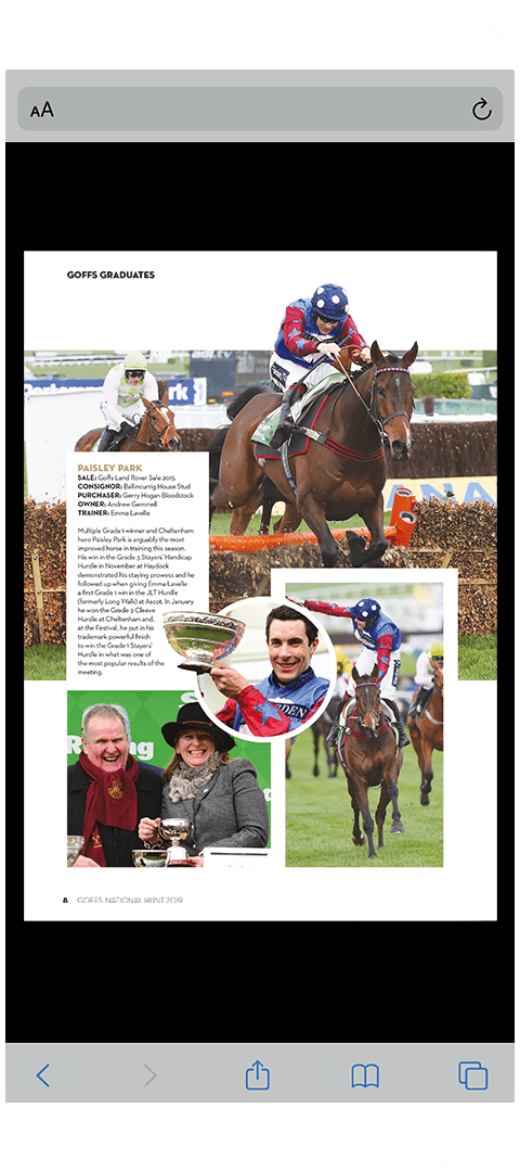 Goffs National Hunt 2019 Phone Image C