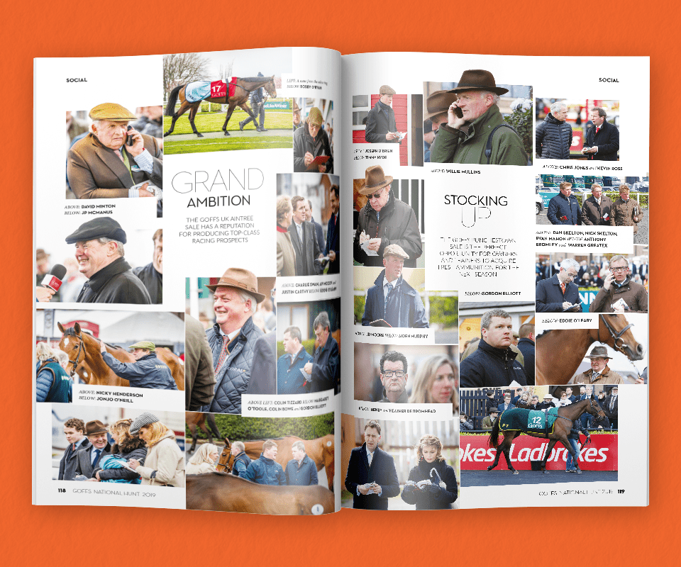 Goffs National Hunt 2019 Regular Spread B