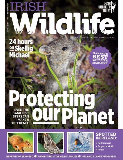 Irish Wildlife Spring 2019 Cover