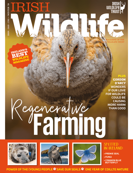 Irish Wildlife Winter 2020 Cover