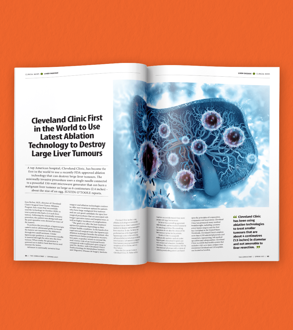 Consultant Spring 2021 Main Spread B