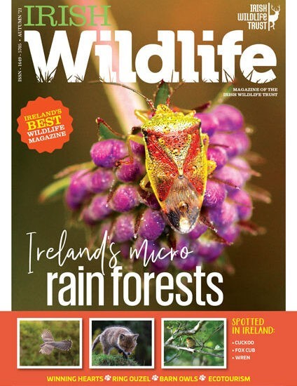 Irish Wildlife Trust Autumn 2021