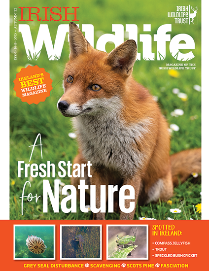 Irish Wildlife Trust Autumn 2022 Cover