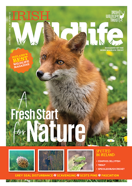 Irish Wildlife Trust Autumn 2022 Cover