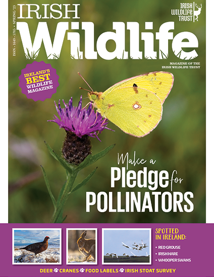 Irish Wildlife Trust Spring 2023 Cover