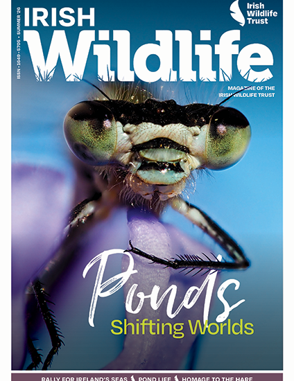 Irish Wildlife Summer 2026 Cover